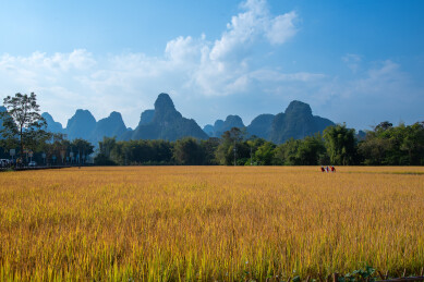 广西崇左明仕田园风景区