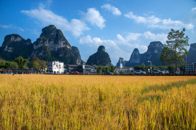 广西崇左明仕田园风景区