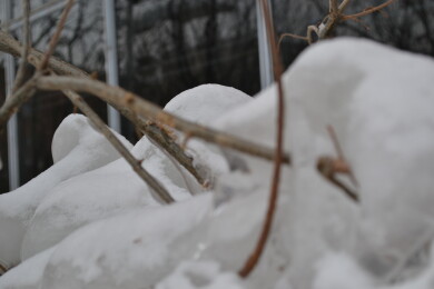 冬日冰雪冰挂自然特写摄影