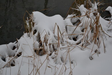 冬日冰雪冰挂自然特写摄影