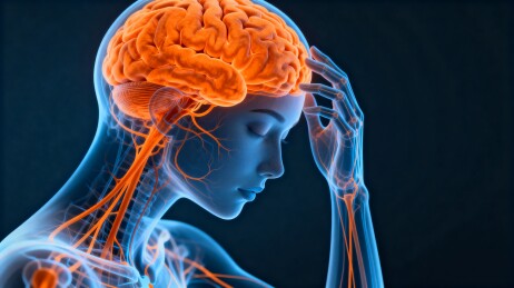 人体大脑神经结构科学插图