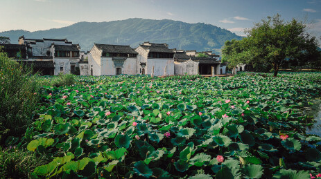 黄山呈坎景区