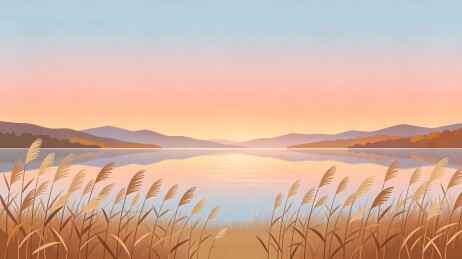湖畔芦苇落日扁平风景插画