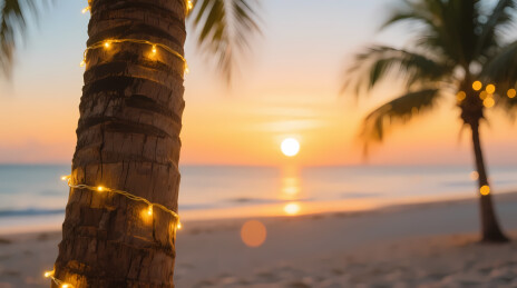 夕阳海滩棕榈树暖光灯串