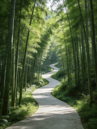 竹林小路自然风景插画
