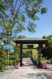深圳甘坑古镇古树里绿道
