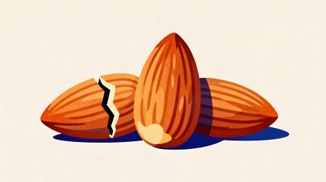 巴旦木坚果卡通插画