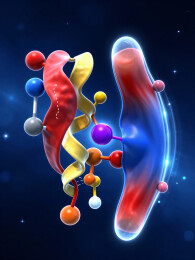 药物化学分子对接的金属离子配位结构
