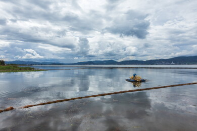 中国云南玉溪通海杞麓湖国家湿地公园风景