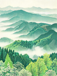 山林云雾景观画面