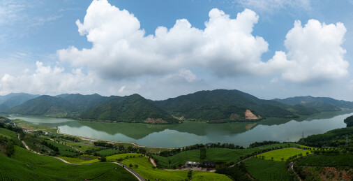 浙江宁波鄞州金鹅湖茶山茶园风光