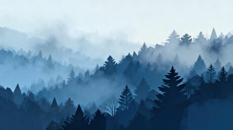 雾霭山林森林图景