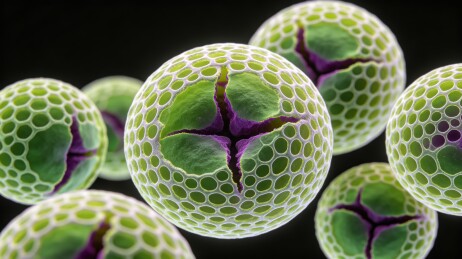 网状球体微观生物科学艺术背景