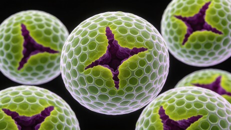 网状球体微观生物科学艺术背景