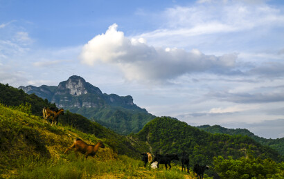 山隅铺碧野 畜旺助民丰