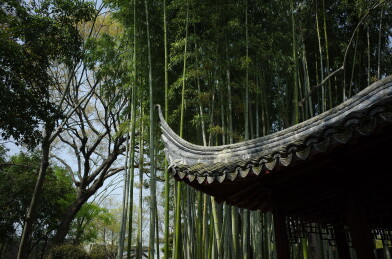 上海秋霞圃 