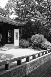 上海秋霞圃  庭院雅趣