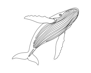 座头鲸在海洋中游动黑白线性插画