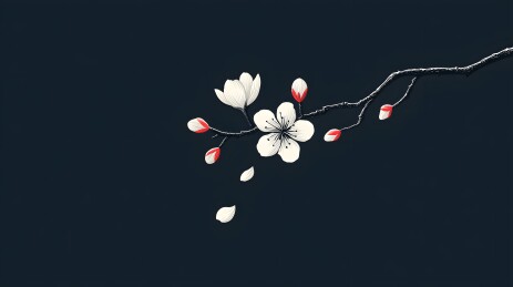 含苞待放的梅花