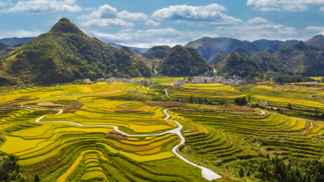 贵州贵阳龙里黄泥哨秋天的梯田