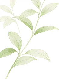 淡雅绿叶植物插画