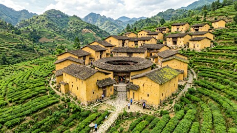 圆形土楼群落依山而建环绕茶园