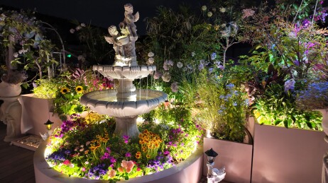 夜晚花园 喷泉 灯光 花卉 石制喷泉 植