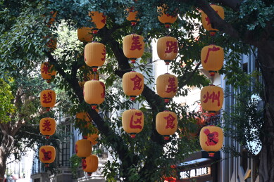 广州挂满灯笼的树