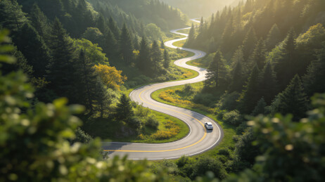 蜿蜒山路穿林间