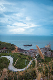 前景芦苇眺望蔚蓝大海海岛海岸自然风光