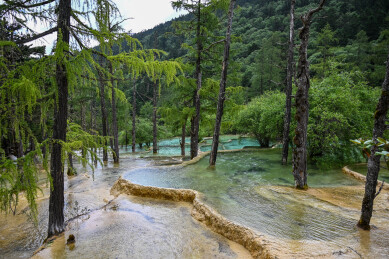 四川黄龙风景区 钙华彩池群景观