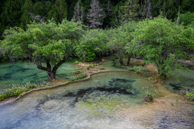 四川黄龙风景区 钙华彩池群景观