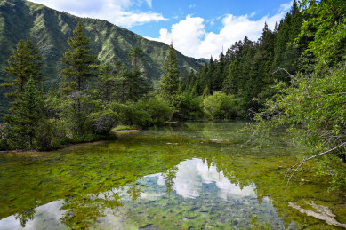 四川黄龙风景区 钙华彩池群景观