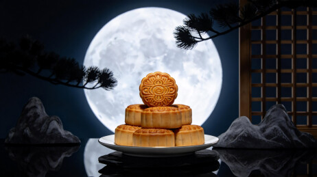 中秋月饼月夜国风图