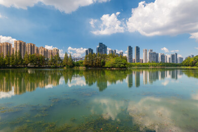 武汉东湖风景区夏季风光