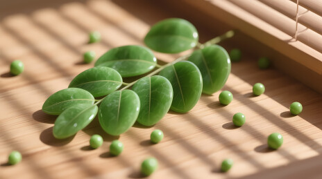 翠叶绿珠禅意竹席