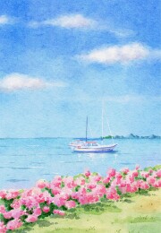繁花湖岸，白艇逐波光