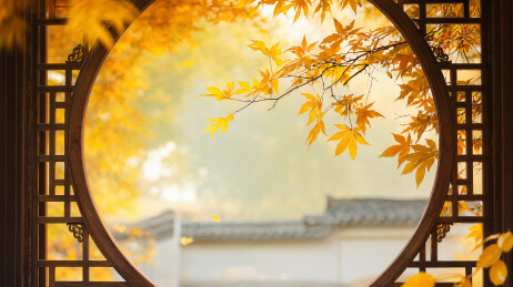 秋露节气勾勒鲜明东方意境