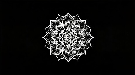 曼陀罗黑白对称线描背景