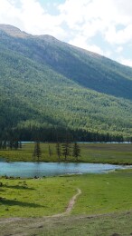 中国新疆阿勒泰夏日阿尔泰山林河谷风光