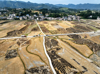 贵州省遵义市红花岗区海龙镇秋收耕地