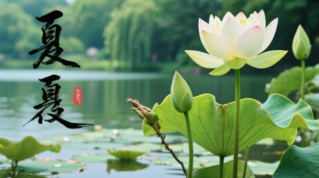 荷花水墨夏景图