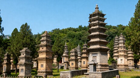 古塔群落林间静立