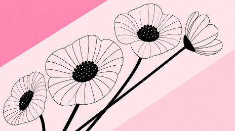 银莲黑白线描图