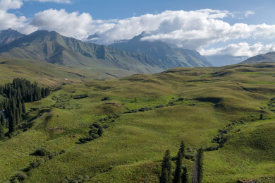俯瞰孟克特古道山脉云雾草原云杉