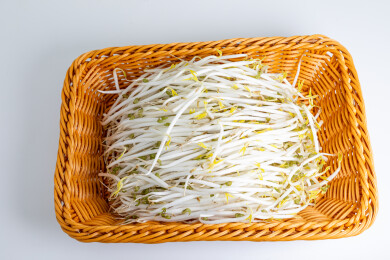 新鲜绿豆芽