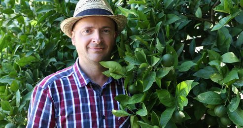 agronomistnurseryingreenhouse