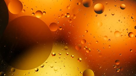 cold light beer in a glass with water drops.