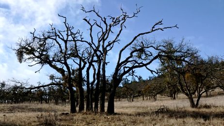 流氓- 站酷海洛 - 正版图片,视频,字体,音乐素材交易平台 - 站酷旗下