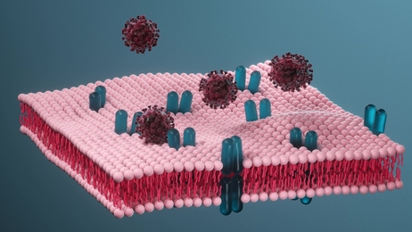 糖蛋白 - 站酷海洛 - 正版图片,视频,字体,音乐素材交易平台 - 站酷旗